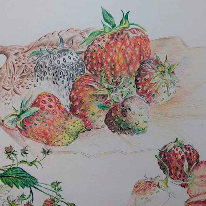 Zeichnung mit Erdbeeren von Doris Rücker